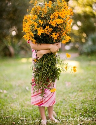 daisies